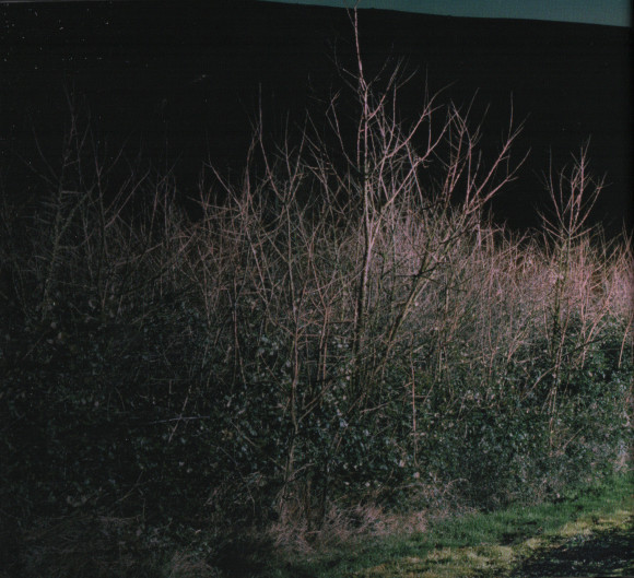 Queen And Paul Rodgers  The Cosmos Rocks : CD & DVD Edition : Booklet 4